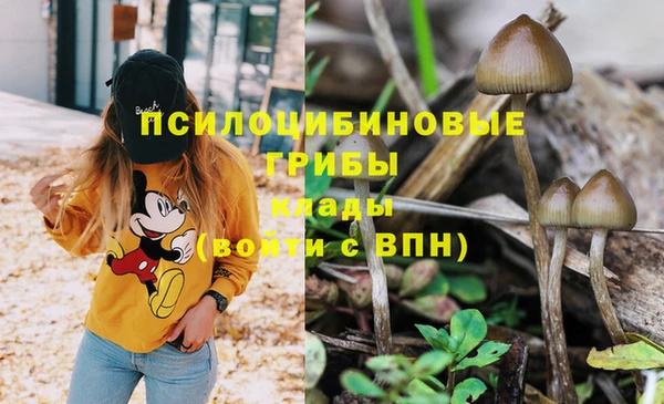 mdma Верхний Тагил