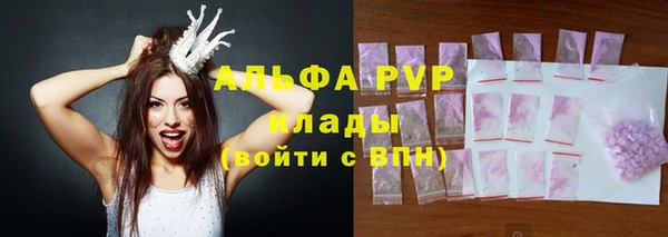 2c-b Бородино