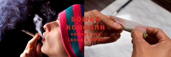 2c-b Бородино